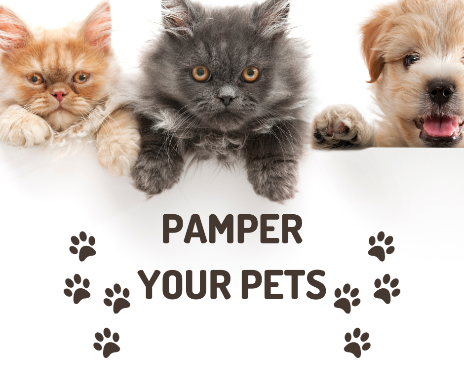 non-toxic cleaning supplies  papered pets